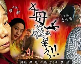 无秩序青春
